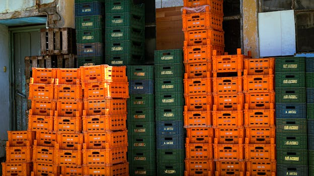 Klíčové Rozdíly v Řízení Komerčních a Neziskových Organizací